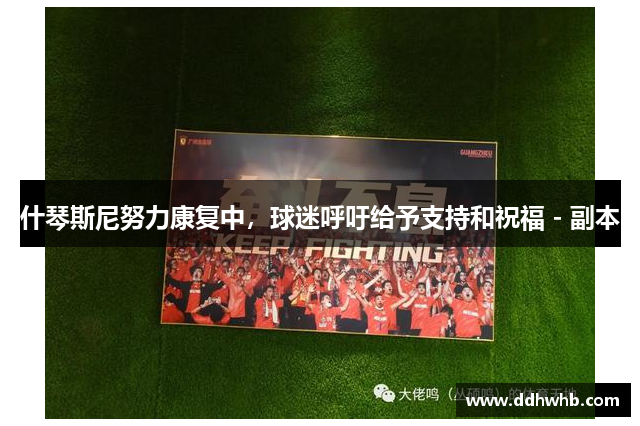 什琴斯尼努力康复中，球迷呼吁给予支持和祝福 - 副本