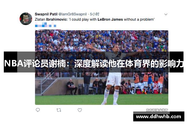 NBA评论员谢楠：深度解读他在体育界的影响力