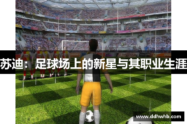 苏迪：足球场上的新星与其职业生涯