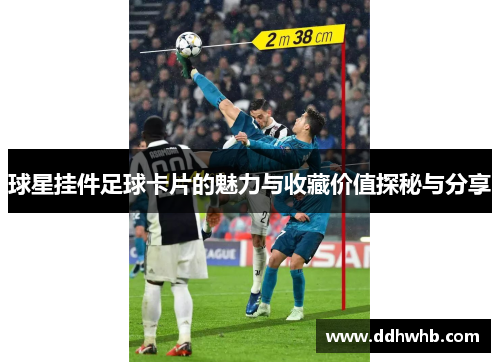 球星挂件足球卡片的魅力与收藏价值探秘与分享